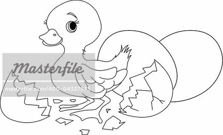Easter duckling jumping out from broken egg. Coloring page