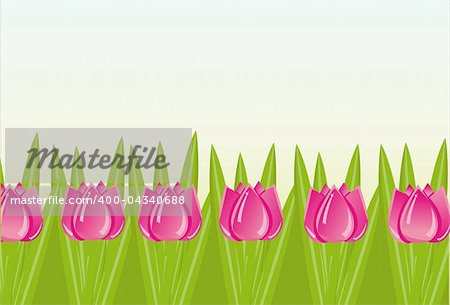 colorful tulips background