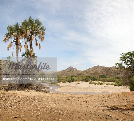 Wild landscape in the Kaokoland desert in Namibia