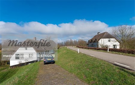 typical dutch houses on the dyke along the Waal river