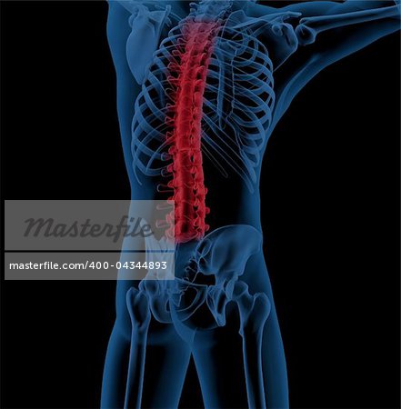 3D render of a male medical skeleton with the spine highlighted indicating back pain