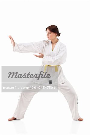 Attractive young sexy women in a karate pose isolated on white