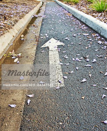 Bicycle lane with arrow  on the road after shower