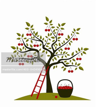vector cherry tree, ladder and basket of cherries, Adobe Illustrator 8 format