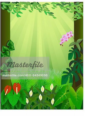 vector illustration of forest background