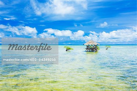 Seascape with mangroves and hut. Bohol. Philippines