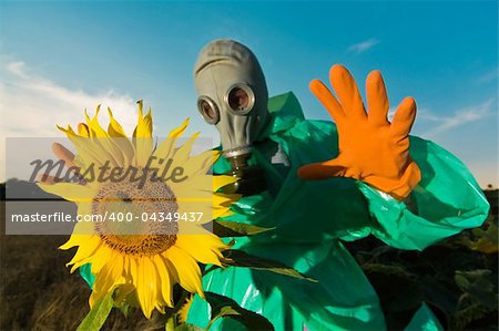 Man in a respirator on sunflower field