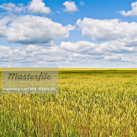 beautiful landscape with blue sky and white clouds