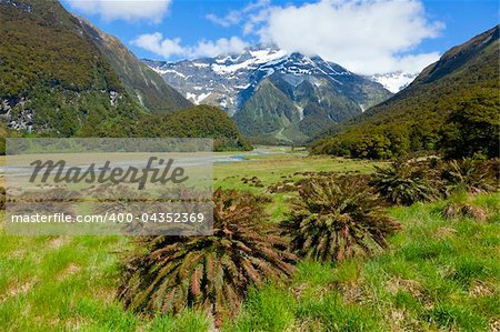 The upper Wilkin river valley on the south island of New Zealand