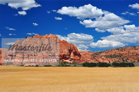 Wide expansive wheat fields near Zion National PArk