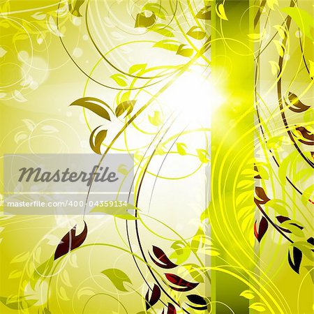 Romantic Flower Background Floral vector banners