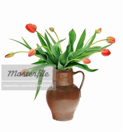 Red tulips in old fashioned jug isolated on white background