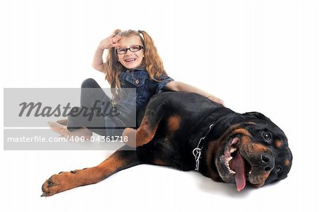 portrait of a purebred rottweiler and little girl in front of white background