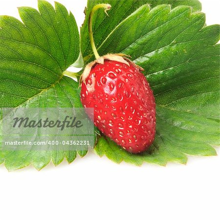 red strawberry with green leaf