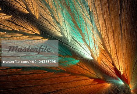 Orange and green colored feather fractal shaped similar to parrot wings.