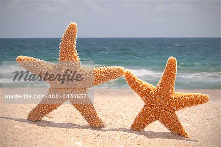 Two Starfish Dancing on the beach