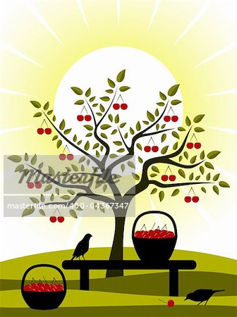 vector cherry tree, bench and baskets of cherries, Adobe Illustrator 8 format