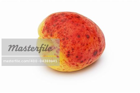 Red apricot isolated on the white background