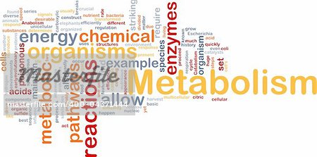 Background concept wordcloud illustration of Metabolism metabolic