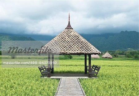 hut  in Green rice field in Thailand