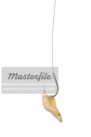 worms on hook on a white background