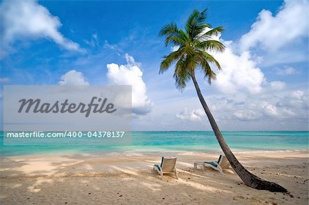 beach, sea and coconut palm tree with deck chair