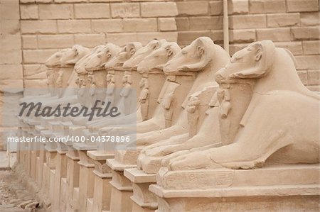 Ram headed avenue of sphinxes at Karnak Temple in Luxor