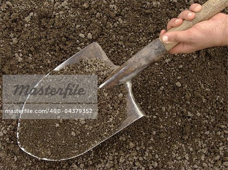 hand holding spade with soil