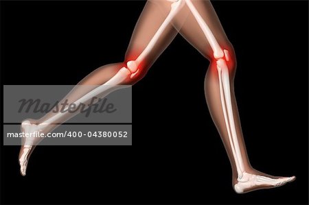 3D render of the legs of a female medical skeleton with knee joints highlighted