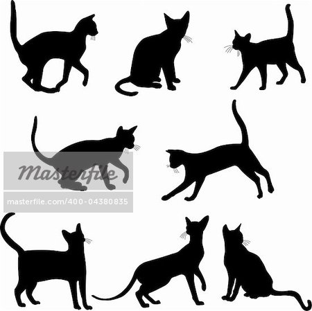 Cats silhouettes collection - vector illustration