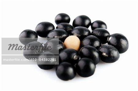 A single soy bean among black beans
