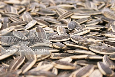 Sunflower seeds as a background.