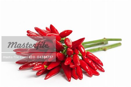 Red hot chilly peppers on white background
