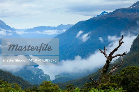 Scenic overlook of Doubtful Sound in New Zealand