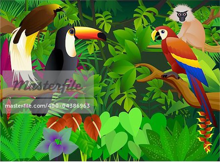 vector illustration of animal in the tropical jungle