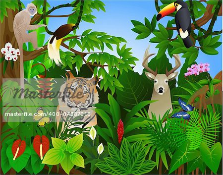 Animal in the tropical jungle