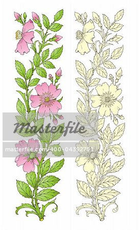 Flower Design Elements vector