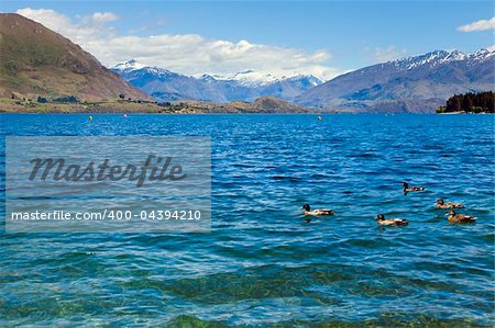 View of the clear water and mountains at lake Wanaka