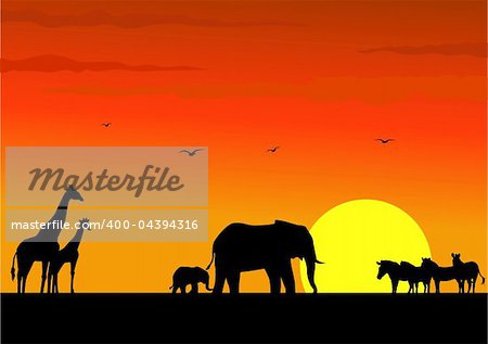 Safari Africa silhouette