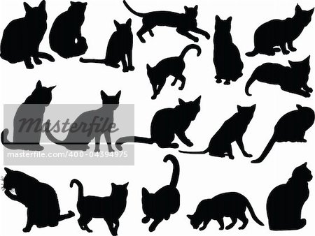 illustration of cat collection - vector