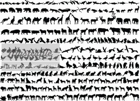 illustration of different animal  - vector