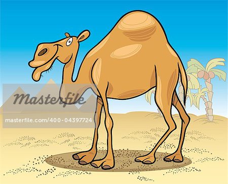 cartoon illustration of dromedary camel on desert