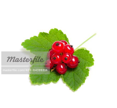 bunch of red currant lies on a green leaf