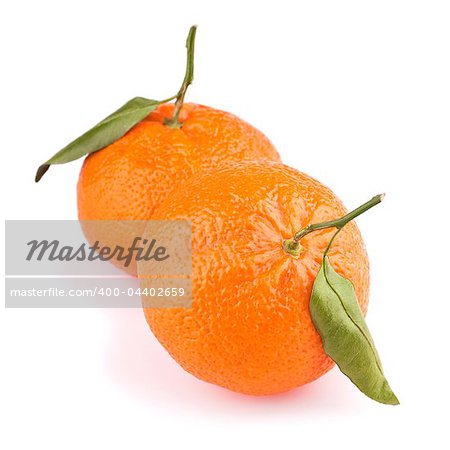 Two ripe tangerines with leaves isolated on white background