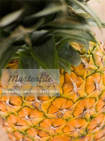 Fresh Pineapple