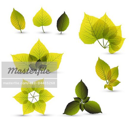 Fresh abstract leaf elements with nice details