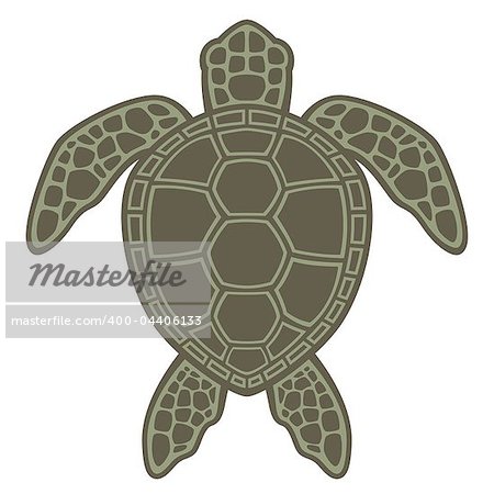 Vector graphic illustration of a Green Sea Turtle.