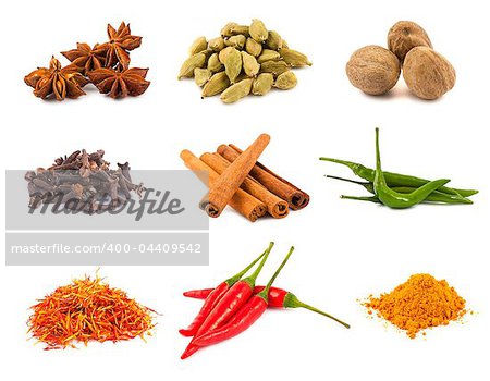 Collection of various spices isolated on white background