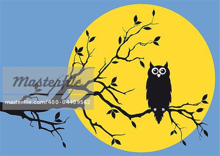 night owl on tree branch, vector background