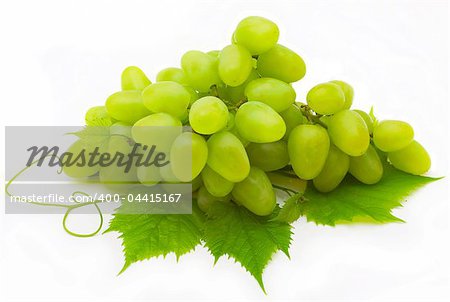 Bunch of grapes isolated on white background